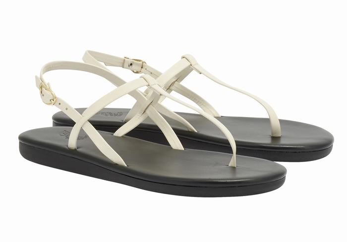 Sandales Bride Arrière Ancient Greek Sandals Lito Flip Flop   | BBG-5239121